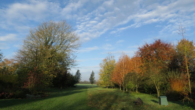 Manor Farm, Coston